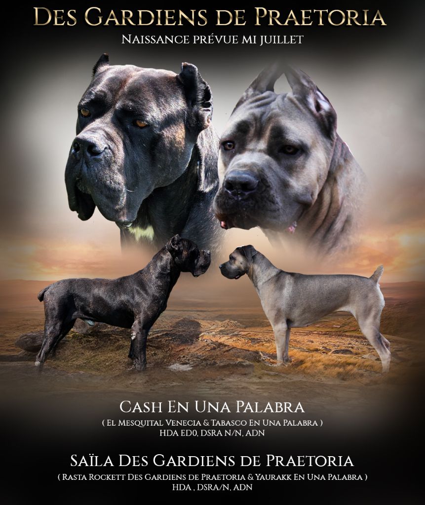 des gardiens de Praetoria - Naissance 